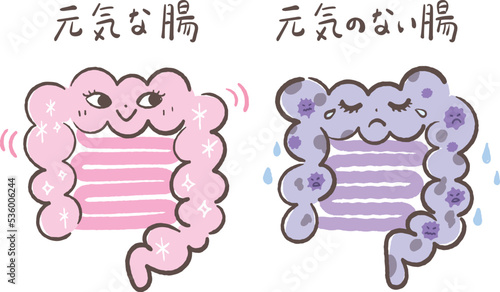 元気な腸と元気のない腸