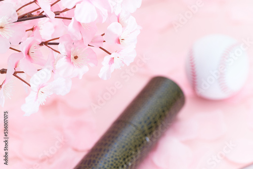 桜と卒業証書