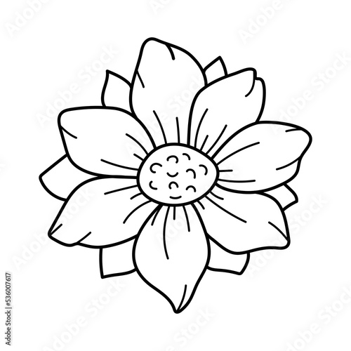 Doodle hand drawn flower. Line art botanical floral design element