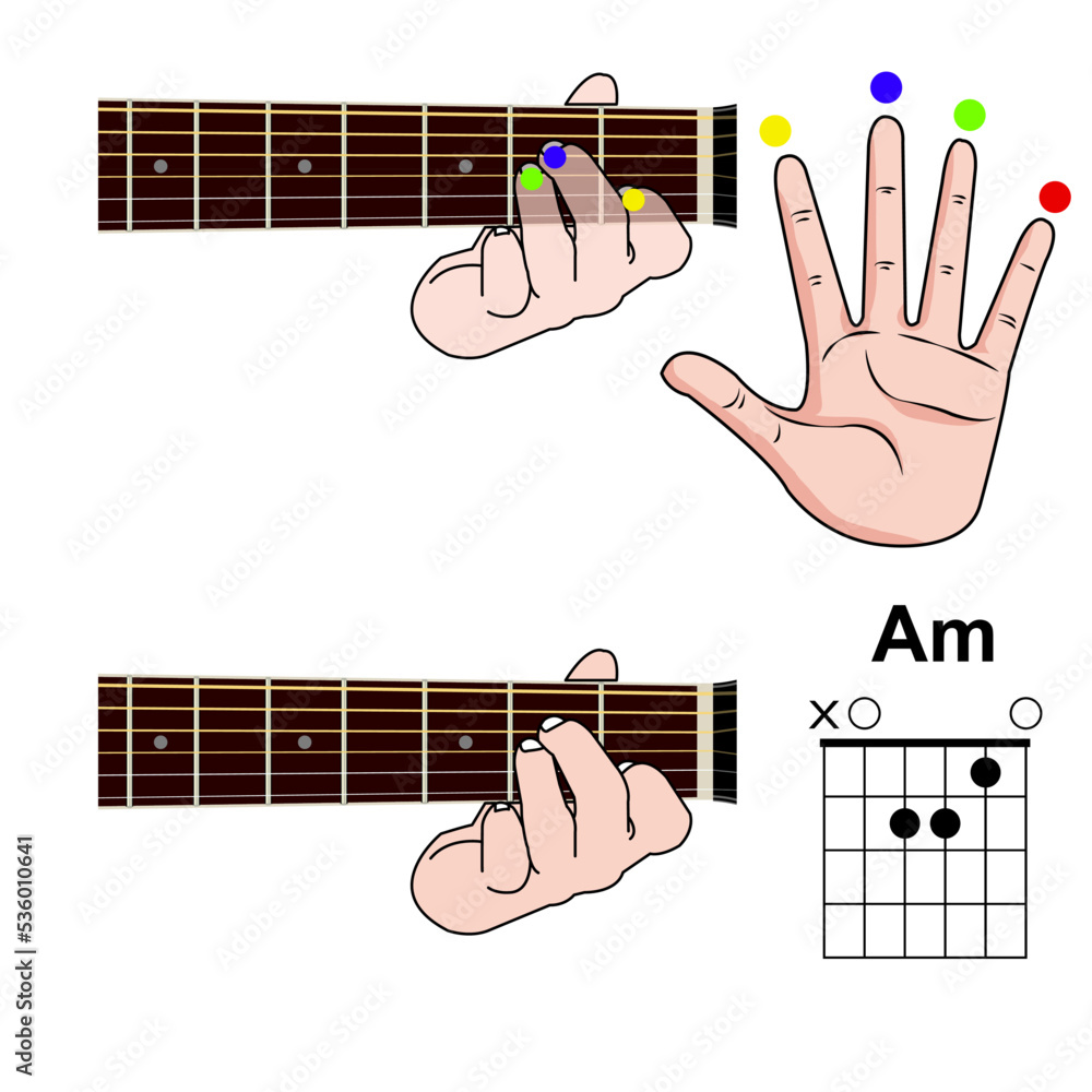 Guitar Chord Basic and Hand Position for Guitar Chord vector. Freestyle ...