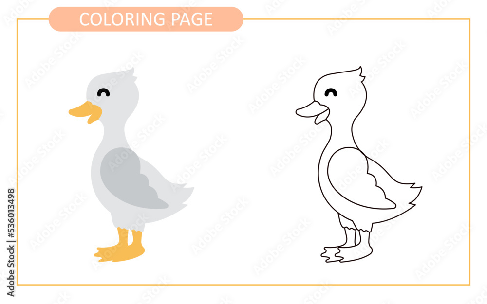 Coloring page of duck. educational tracing coloring worksheet for kids ...