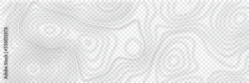 Topographic map lines isolated on transparent background. Vector illustration. Abstract pattern with lines