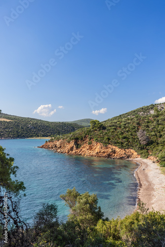 Shallow bay, narrow strip of sandy Marathias beach, then gentle or rocky hillside, overgrown with green vegetation and coniferous trees. Chalkidiki, Greece, vertical photo