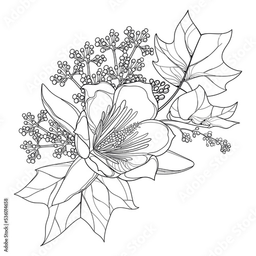 Bouquet with outline Liriodendron or tulip tree flower and leaves in black isolated on white background. photo