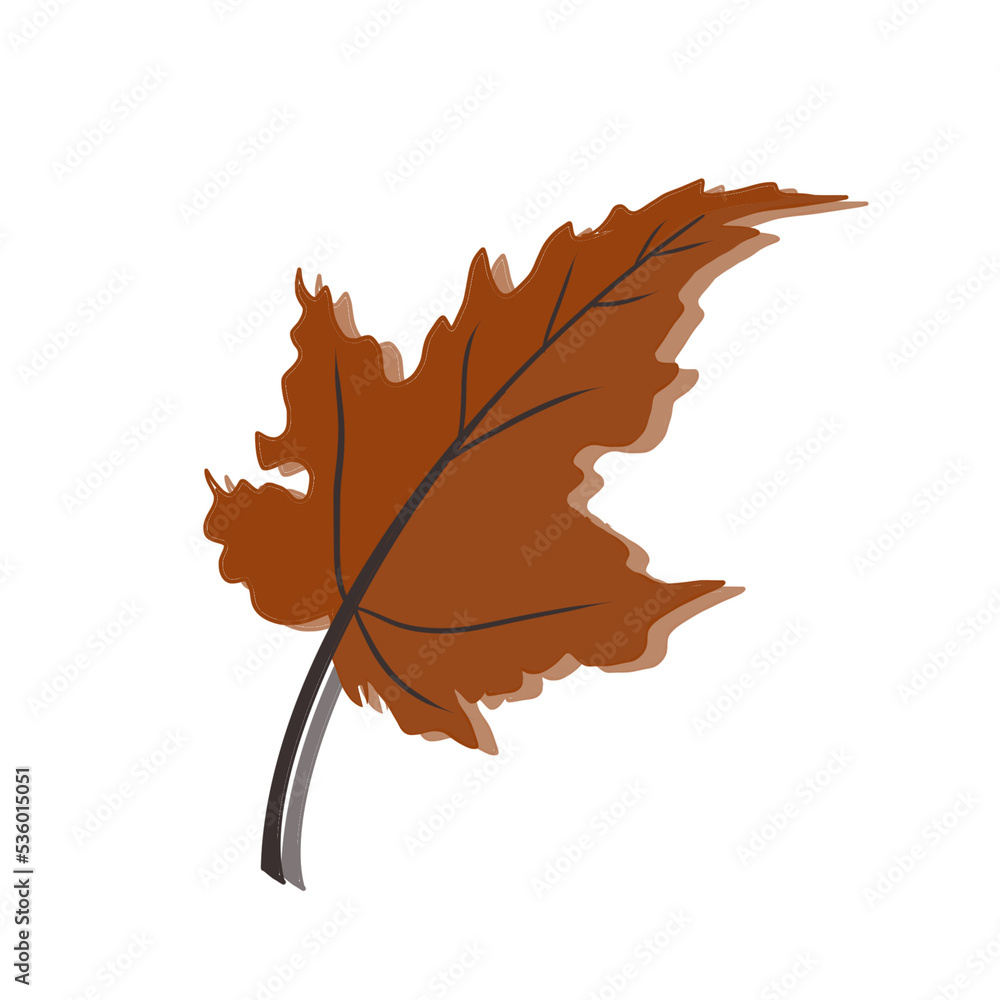 Obraz premium Leaf Icon