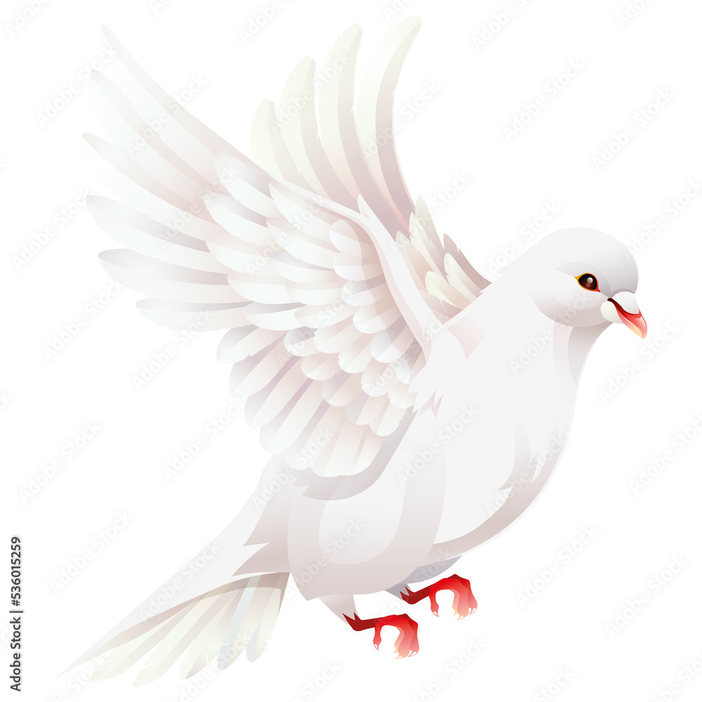 Obraz premium White dove illustrations