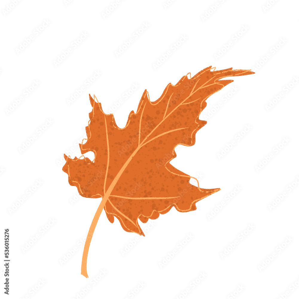 Obraz premium Leaf Icon