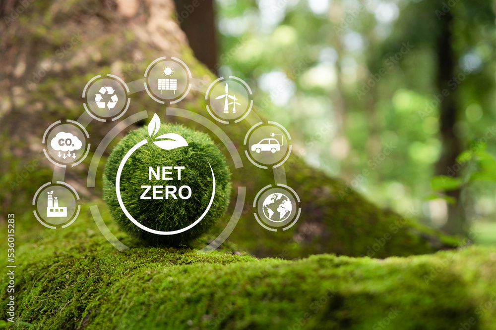 Net zero and carbon neutral concept. Net zero greenhouse gas emissions target. Climate neutral long term strategy on a green background. - obrazy, fototapety, plakaty 