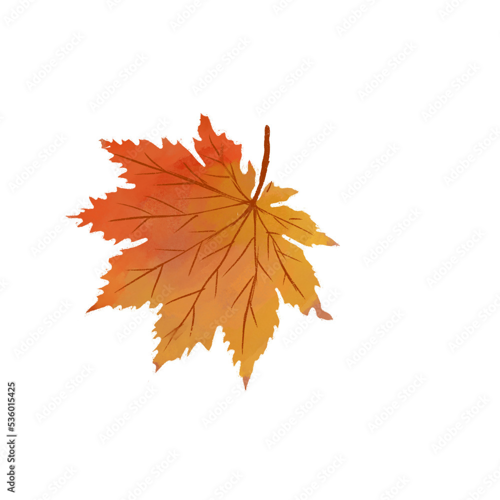 Fototapeta premium Leaf Icon