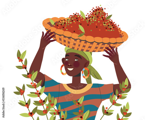 Woman Character Harvesting Coffee Carrying Basket with Fresh Fruit Vector Illustration