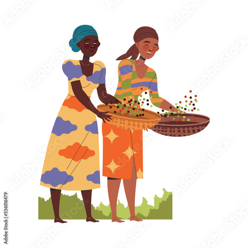 Woman Character Harvesting Coffee with Fresh Fruit in Basket Vector Illustration