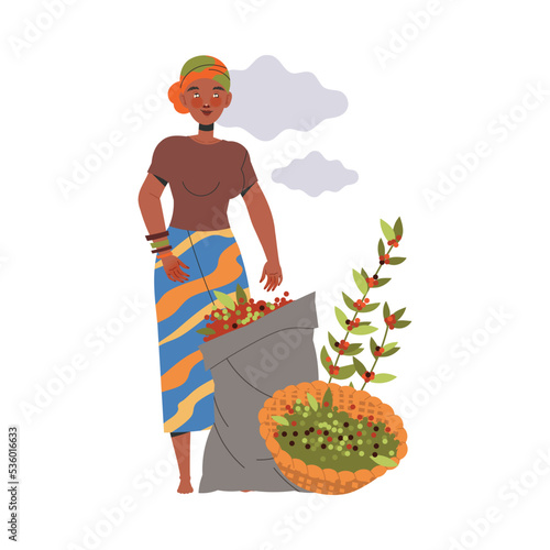 Woman Character Harvesting Coffee Picking Fresh Fruit in Basket Vector Illustration