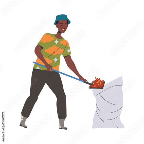Man Character Harvesting Coffee Pouring Fresh Fruit in Sack with Shovel Vector Illustration
