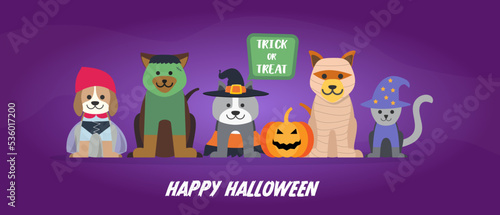 Fototapeta Naklejka Na Ścianę i Meble -  Happy Halloween banner, vector illustration. Funny cat and dogs wearing halloween costumes
