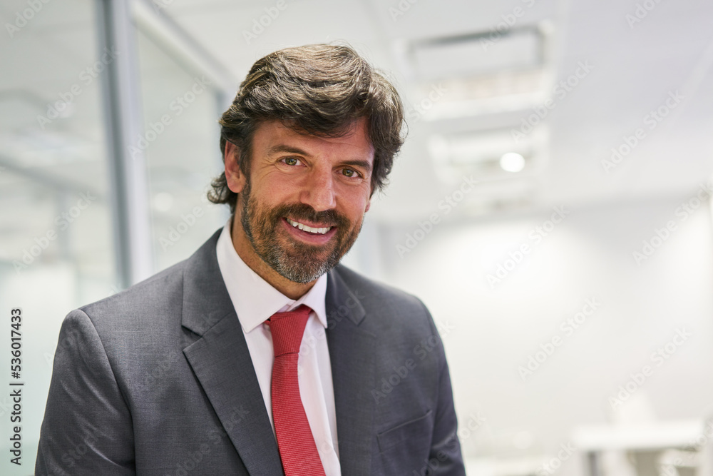 Geschäftsmann als erfolgreicher Manager oder Berater