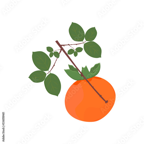 Tropical berry persimmon
