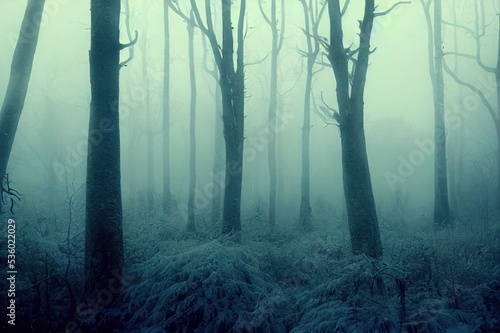 Winter dark creepy cold forest woods landscape photos with majestic trees and fog in foggy atmosphere as a fantasy painting and foliage