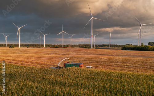 Arable land cultivation sustainable energy Cultivation of energy crops. Forage harvester on maize cutting for silage in field. Harvesting biomass crop. Harvester  tractor work on corn harvest season.  photo