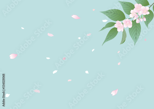 葉桜と舞い散る花びら