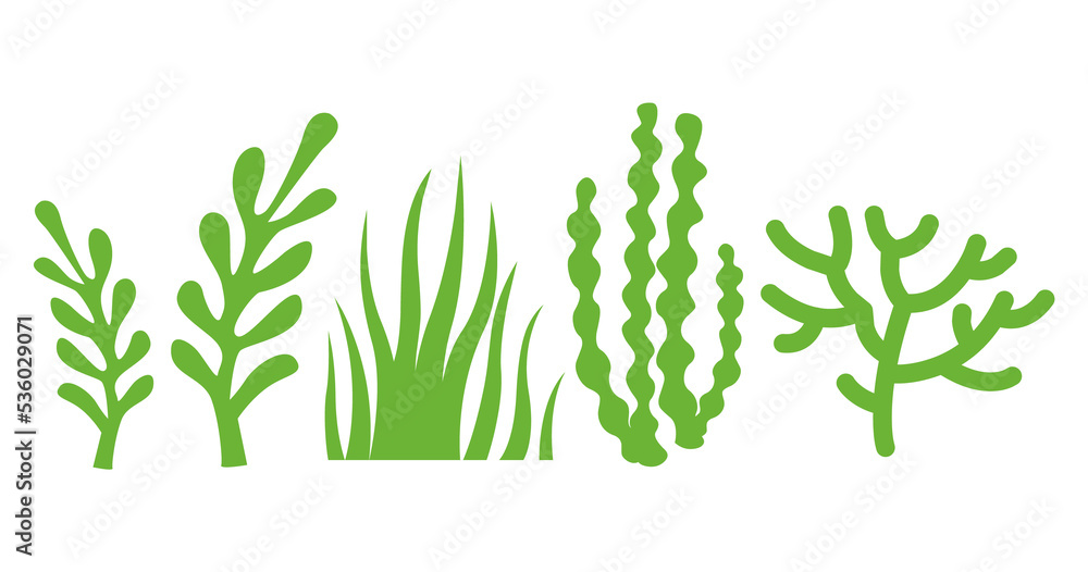 Tropical tree branches illustration isolated on png Transparent background Tropical tree branches illustration isolated on png Transparent background
