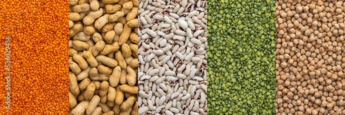 Different types of legumes banner, peanuts and lentils and chickpeas, white beans and green peas, top view photo