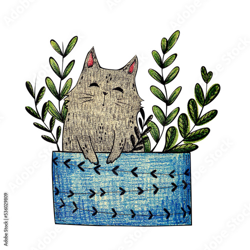 cat on a transparent background. cute gray kitten in a blue flower pot. Doodle and illustration with watercolor pencils for printing postcards, stickers, prints, posters.