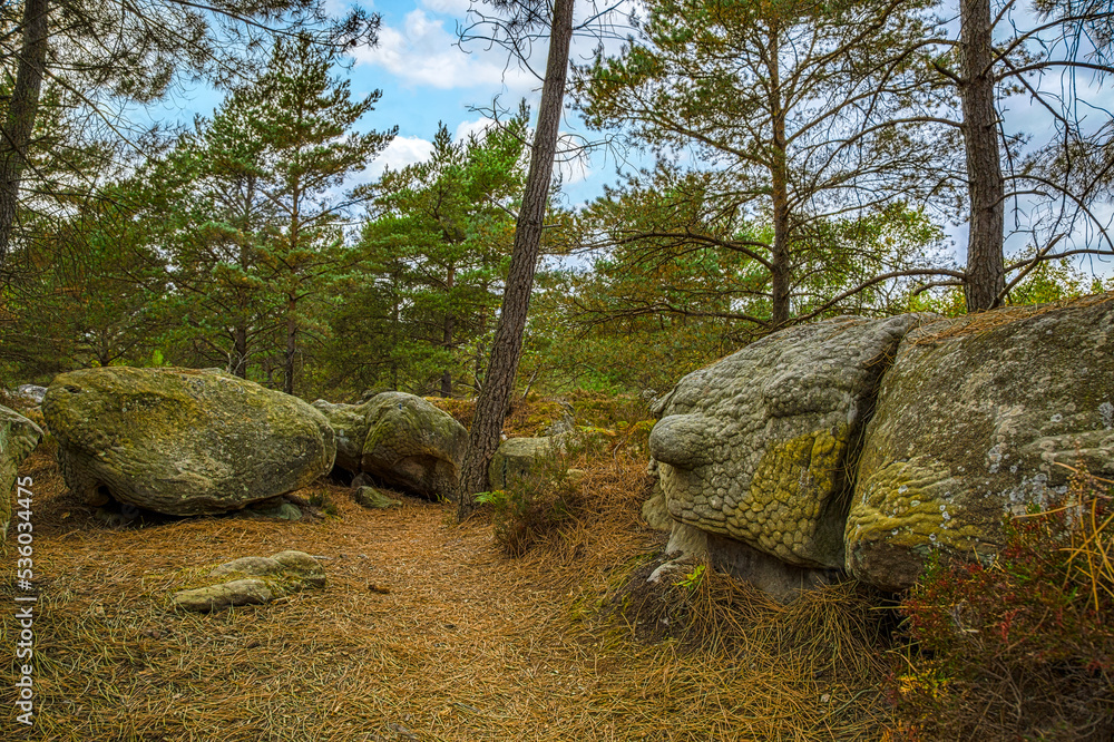 Rocks and Forest, Fontainebleau Forest, France Rocks and Forest, Fontainebleau Forest, France