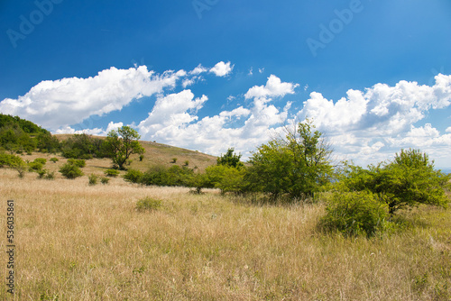 Dry grass on Devin hills in Palava  in hot summer day under white clouds and blue sky. Czech Republic.