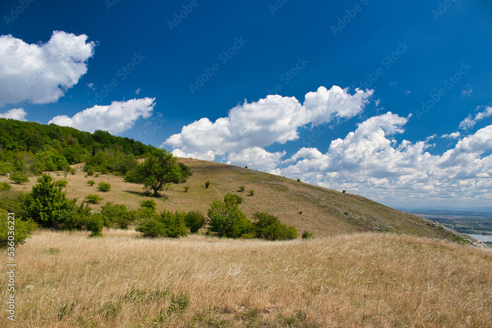 Fototapeta premium Dry grass on Devin hills in Palava, in hot summer day under white clouds and blue sky. Czech Republic.