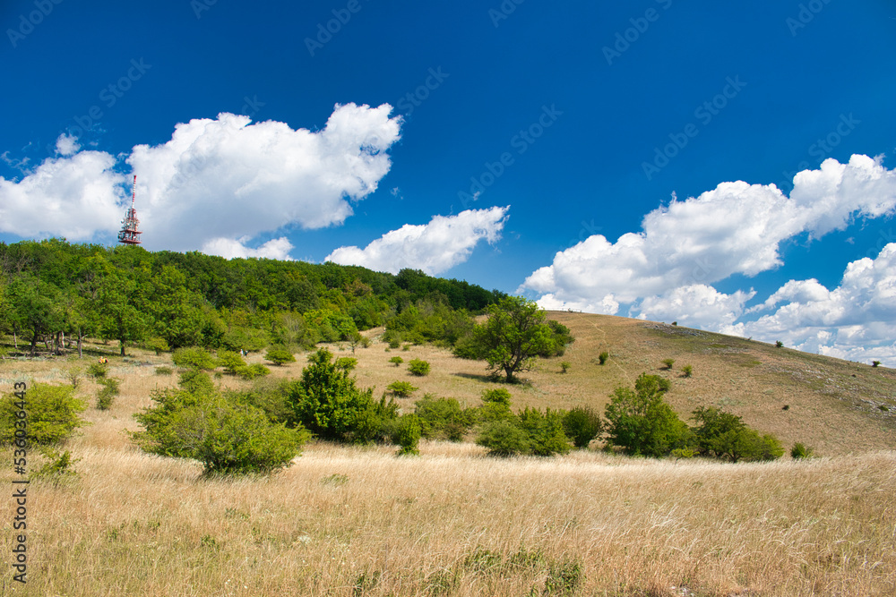 Dry grass on Devin hills in Palava, in hot summer day under white clouds and blue sky. Czech Republic.