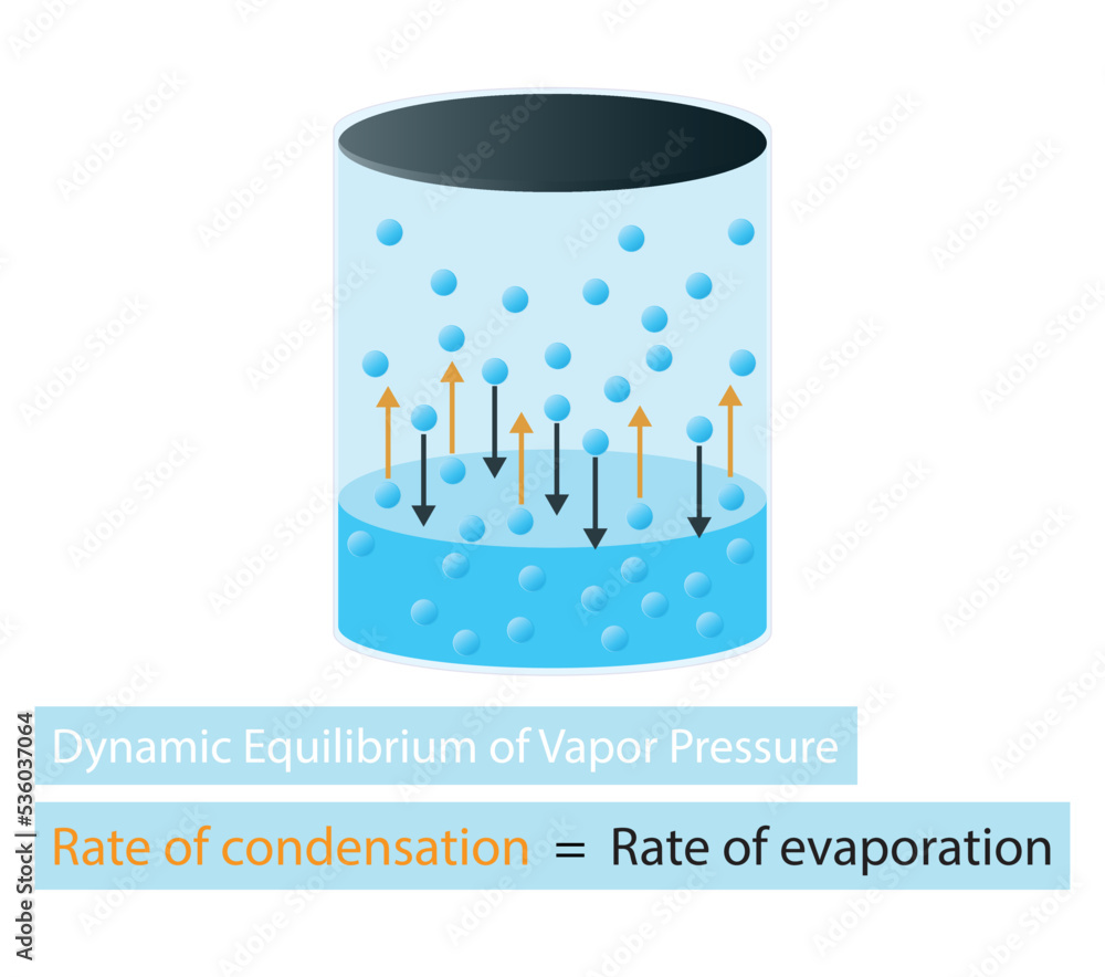 Vetor de illustration of chemistry, Dynamic Equilibrium of Vapor