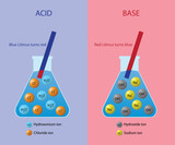 illustration of chemistry, chemical difference between acids and bases is that acids produce hydrogen ions and bases accept hydrogen ions, A base is a substance that neutralises acids