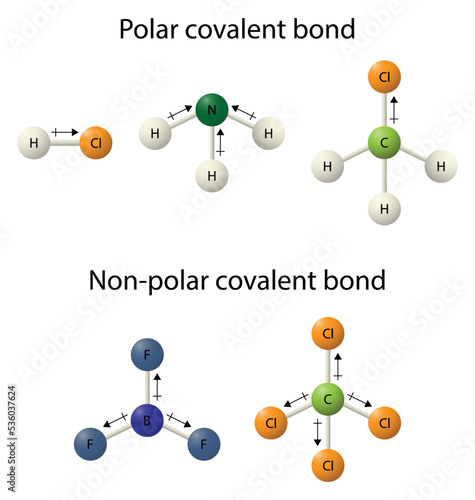 polar covalent molecule