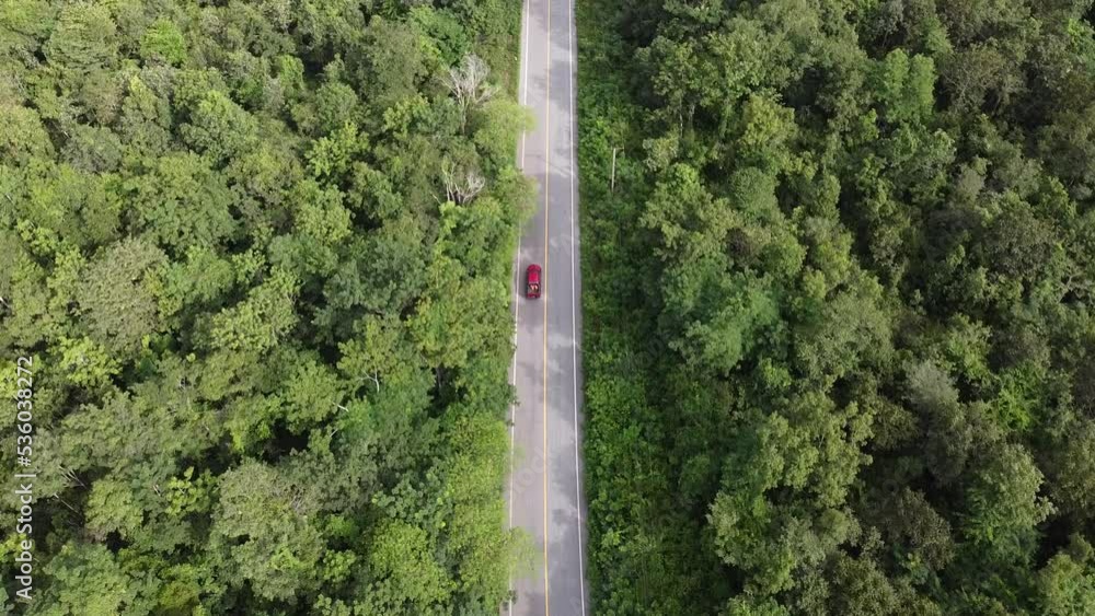 Aerial view of a forest with car in thailand. Aerial view of a forest with car in thailand.