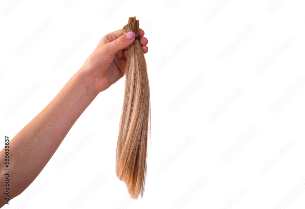 Hair donation. Girl's hand holding long cut off natural blond ponytail