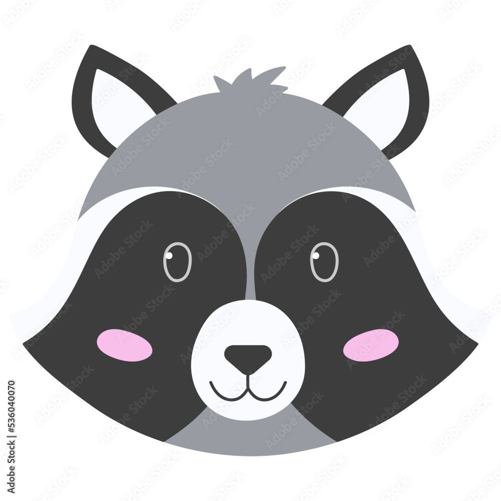 raccoon raccoon