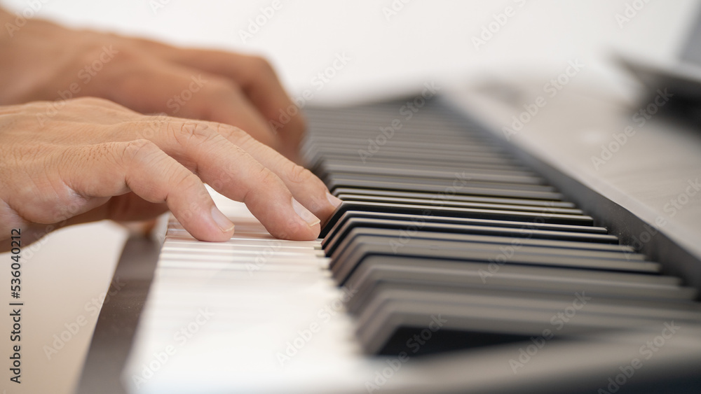 Fototapeta premium ピアノを弾く