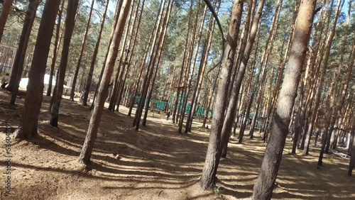 FPV drone view of Obstacle course in the forest at the Rope Park. Active rest of the childs in the extreme park. Autumn sunny day
