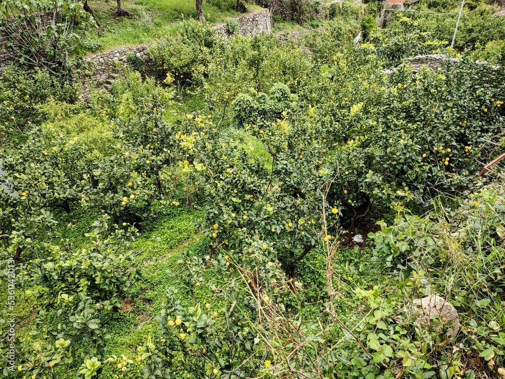 Seacoast of Cinque Terre with its villages and nature in Italy during a gloomy day of spring