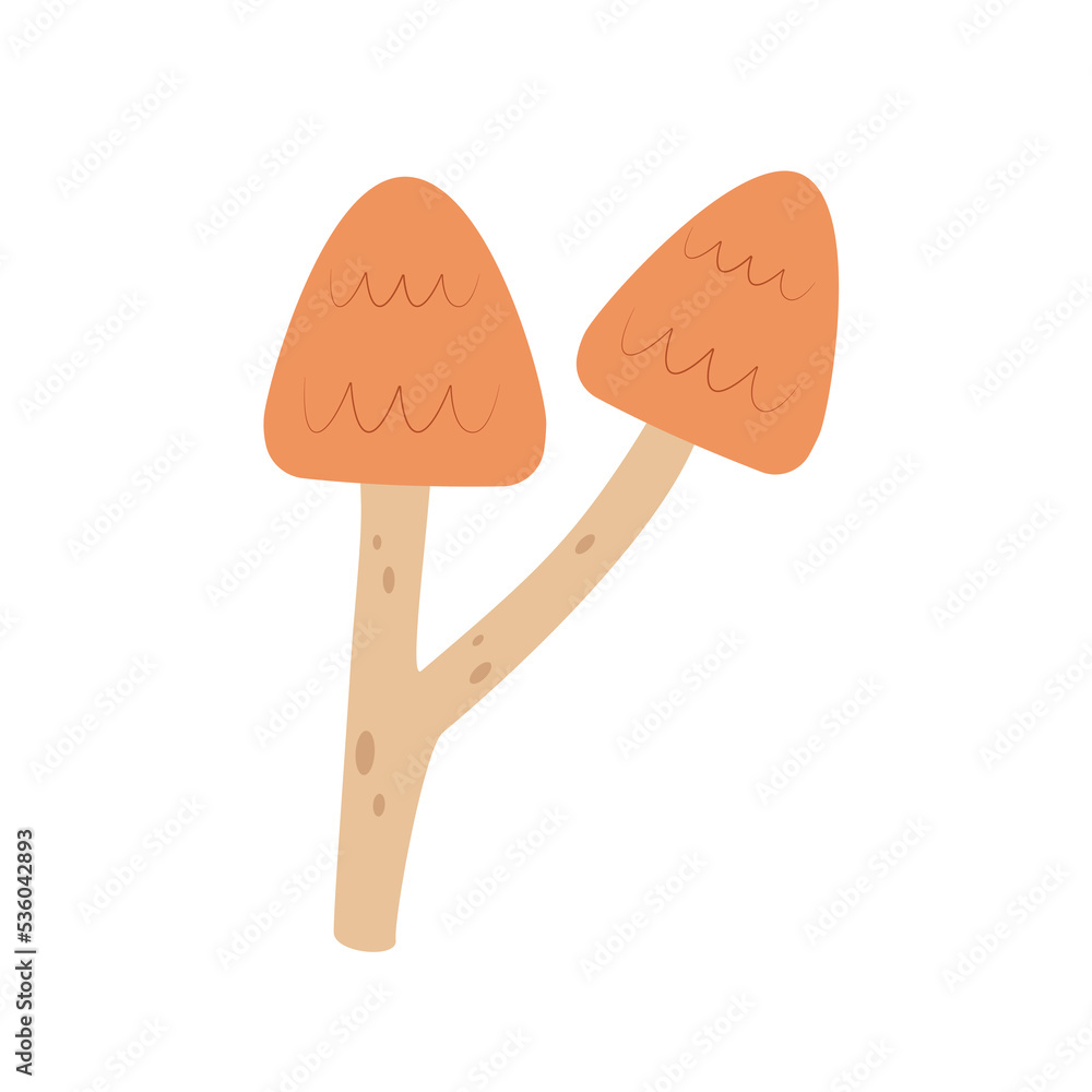 Fungi mushroom icon.Forest mushroom on isolated background.Wild forest mushrooms in autumn. Vector illustration cartoon flat style Fungi mushroom icon.Forest mushroom on isolated background.Wild forest mushrooms in autumn. Vector illustration cartoon flat style