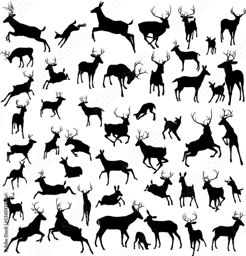 Deer animal silhouettes