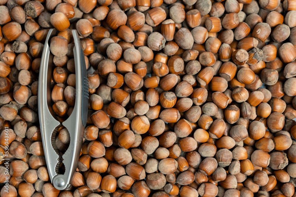 background of hazelnuts and a nutcracker on top background of hazelnuts and a nutcracker on top