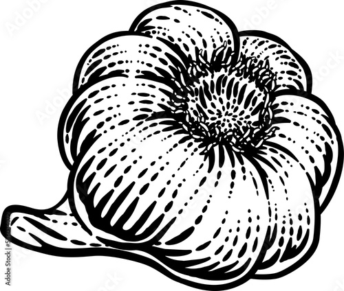 Garlic Vegetable Vintage Wo...