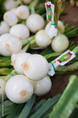 Weiße Zwiebeln auf dem Markt von Pollenca, Mallorca (Spanien)