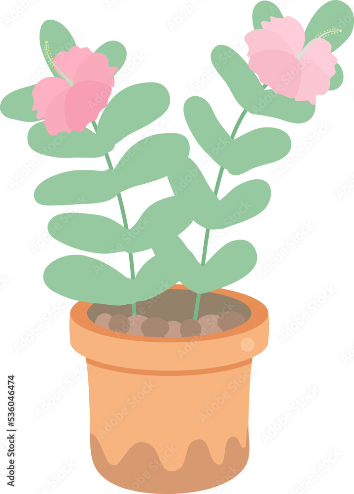 cute tiny flower in pot
