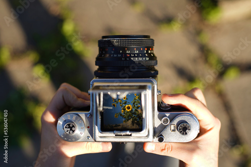 A photographer holding a vintage analog photo camera focusing ajusting taking pictures outside looking through a large square format viewfinder mechanical settings solid metal cogs gagarden background photo