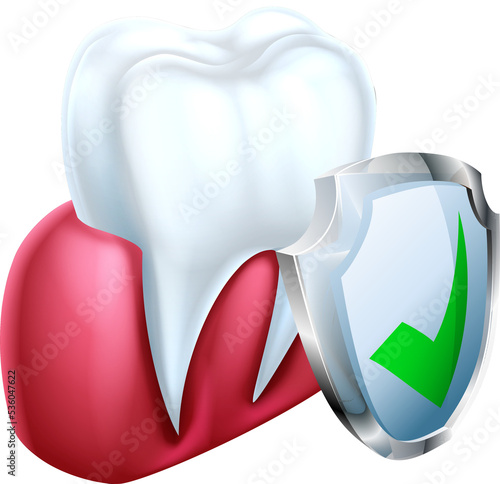 Shield Tooth and Gum