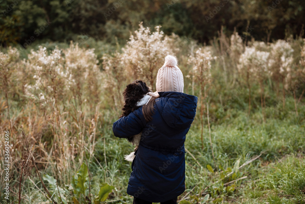 Child with a puppy. Little girl with a Shih Tzu puppy in her arms in the autumn park Child with a puppy. Little girl with a Shih Tzu puppy in her arms in the autumn park