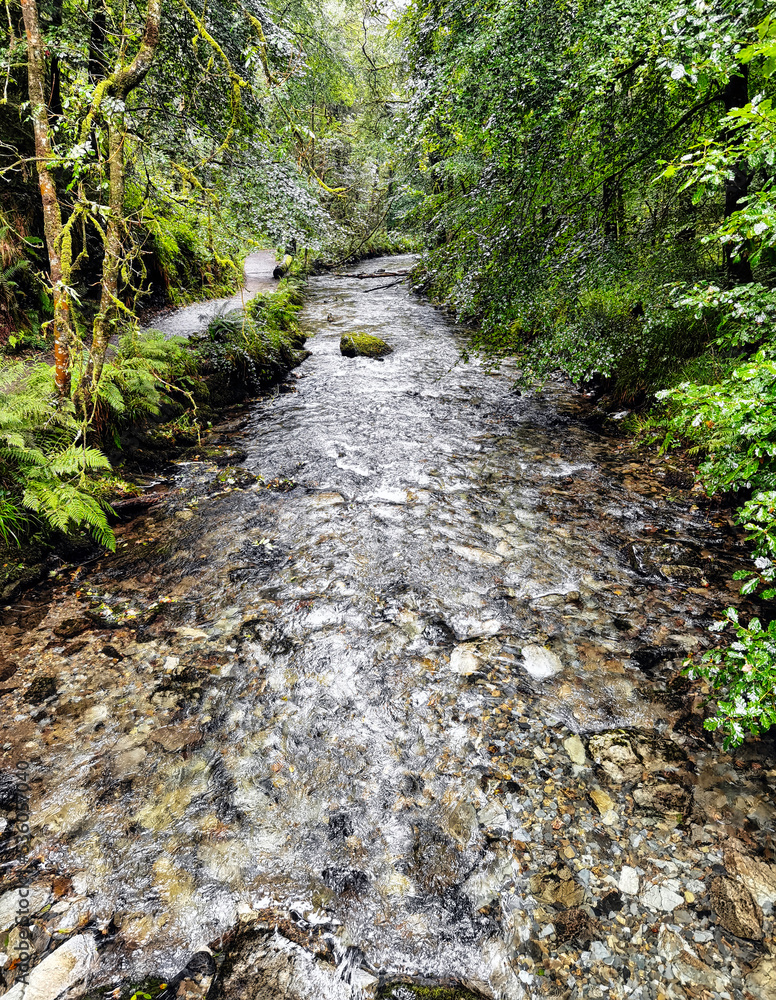 Fototapeta premium River Lyd - Lydford Gorge, Dartmoor National Park, Devon, United Kingdom