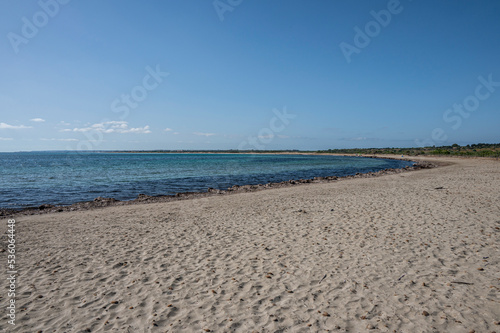 The beach of Vendicari